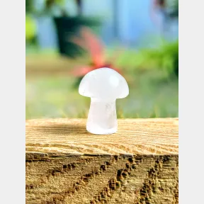 Clear Quartz Mini Mushroom Natural Stone Crystal | VERY SMALL CHIP VISIBLE