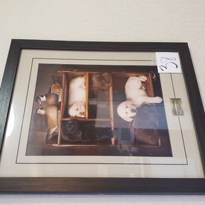 Ducks Unlimited "Ya Snooze, Ya Lose" Puppy framed artwork