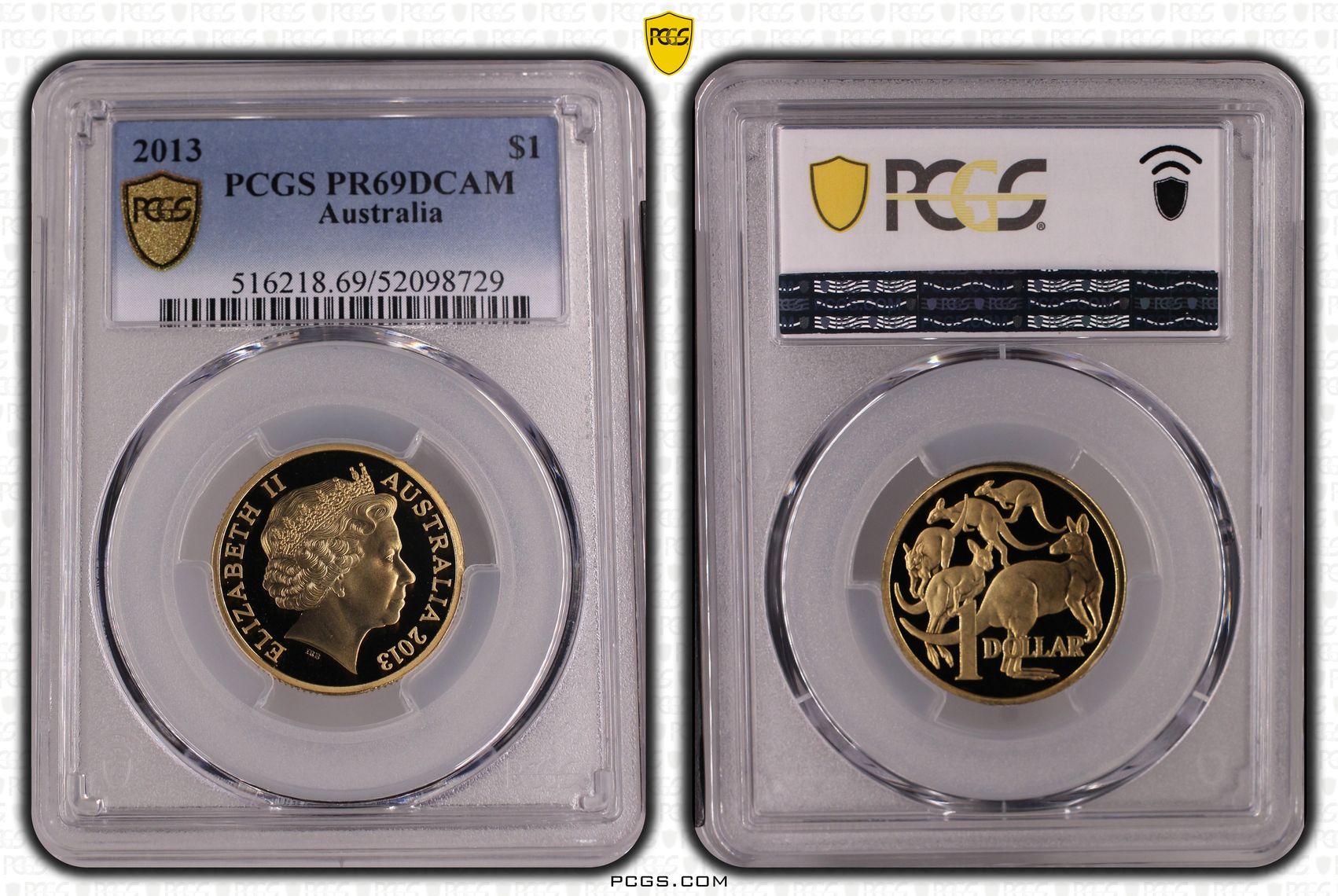 One Dollar, 2013, PR69DCAM