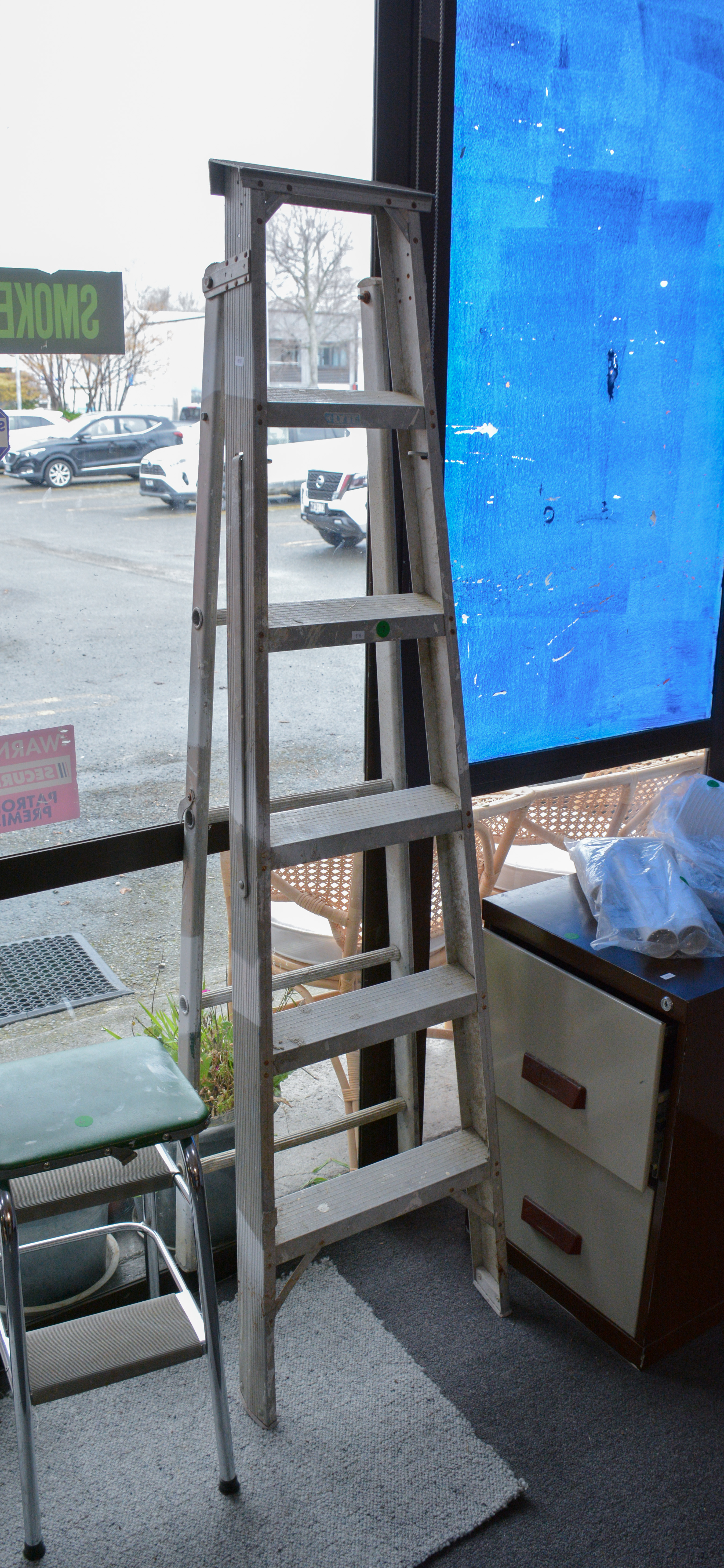 Lyte Aluminium Extension Ladder — sold at auction in New Zealand for $75