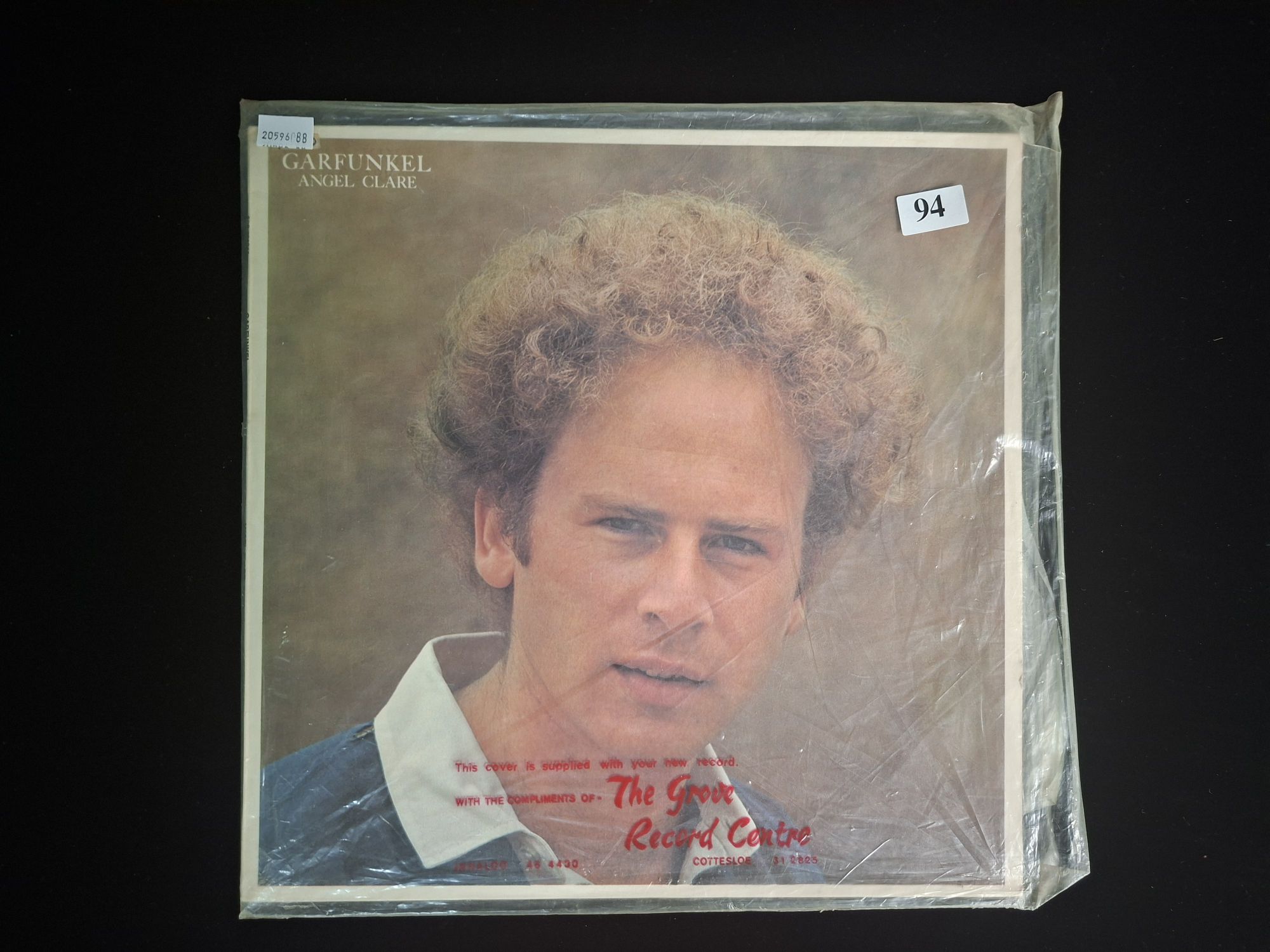 Art Garfunkel