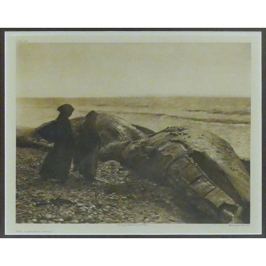 Antique Edward Curtis ''The Captured Whale'' (Plate 396) Large Photogravure