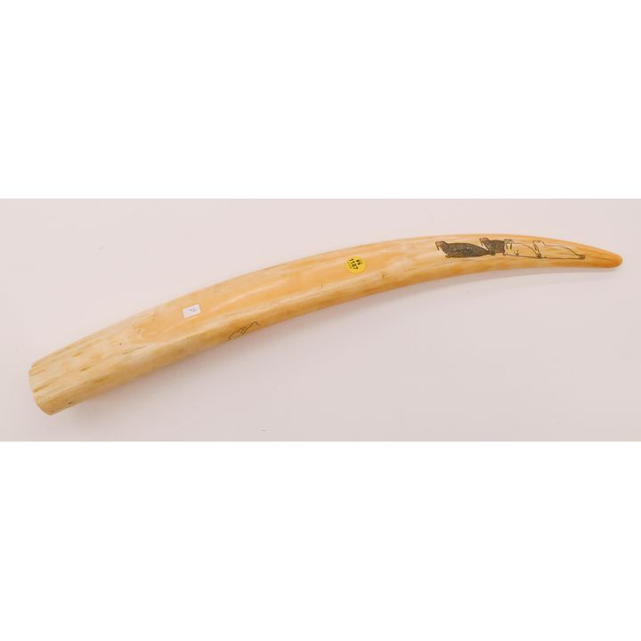 Old Alaskan Eskimo Scrimshawed Tusk