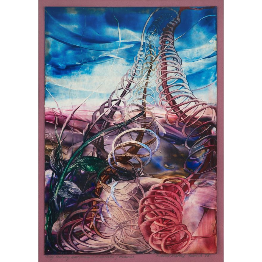 Piotr Antoni Wiatrak | Powój bezlistny, 1998