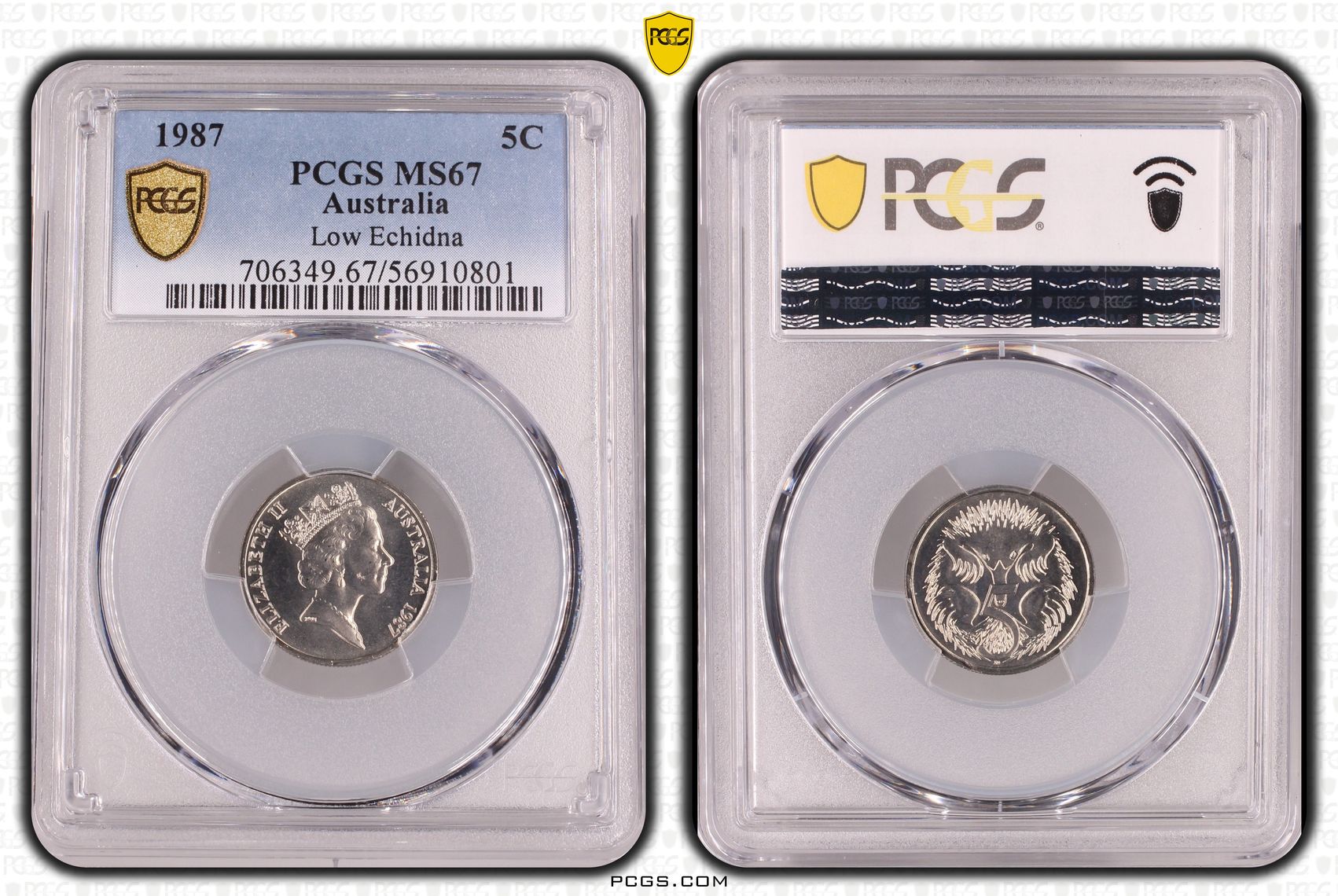 Low Echidna, Five Cent, 1987, PCGS MS67