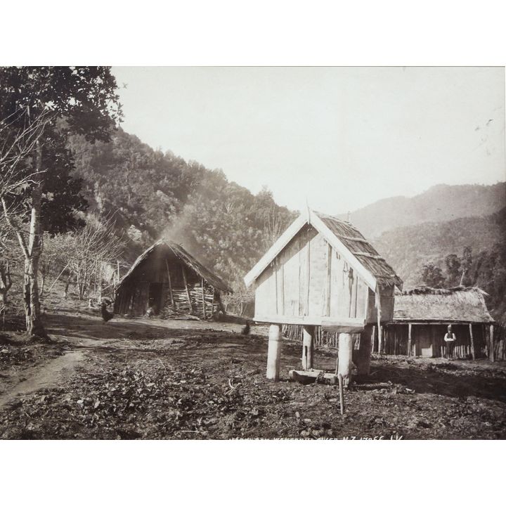 VALENTINE, J. - Māori Pah Wanganui River