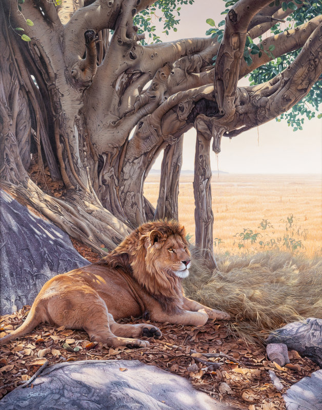 Daniel Smith
(American, b. 1954)
Savanna Sanctuary, 2002