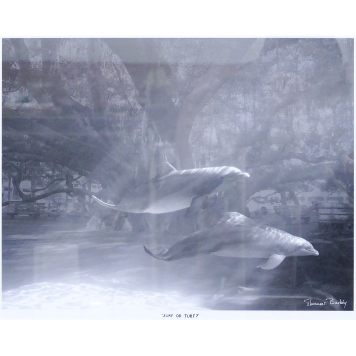 Thomas Barbey ''Surf of Turf?'' Signed Silver Gelatin Photograph