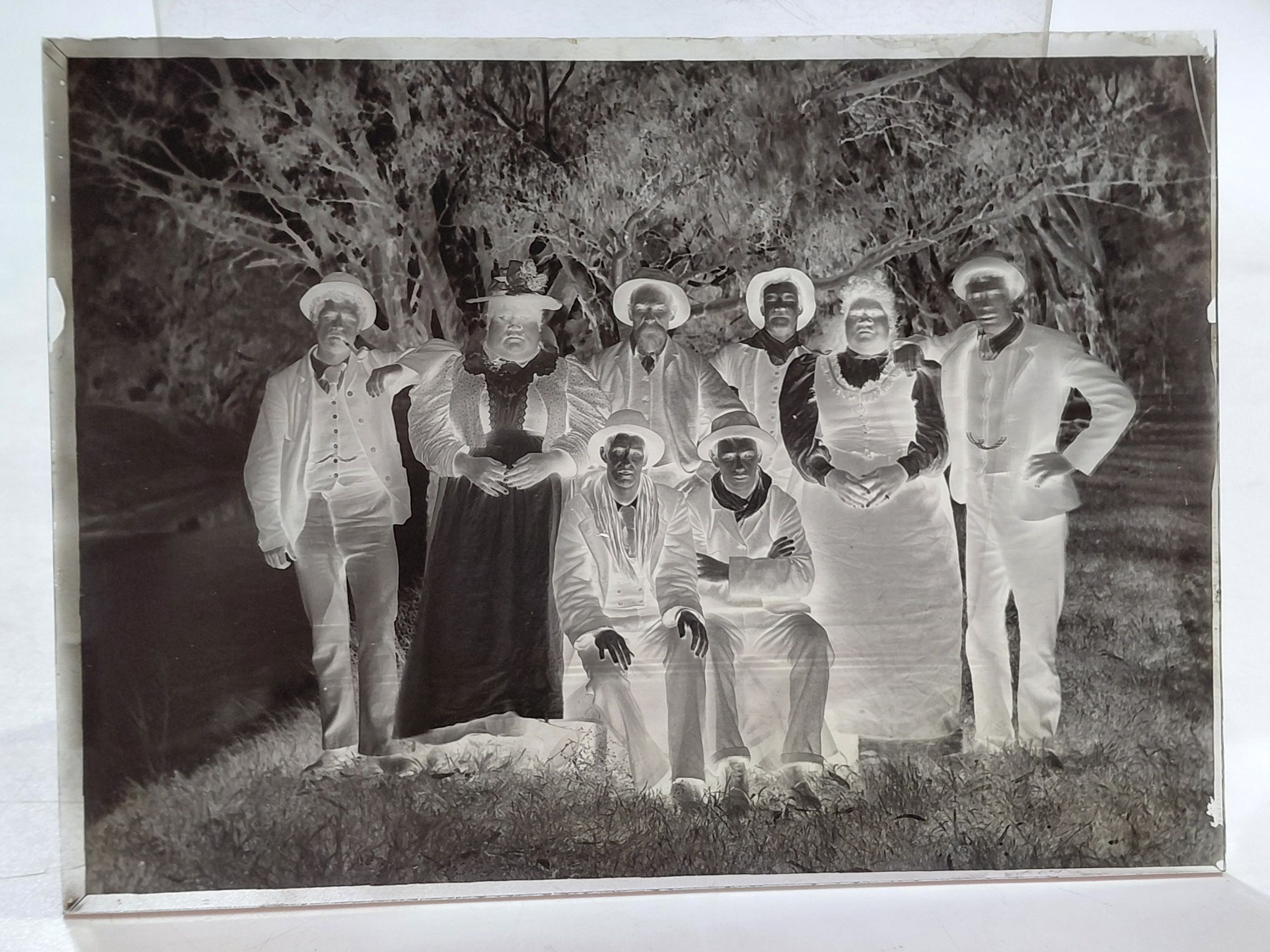 596 · GLASS NEGATIVES