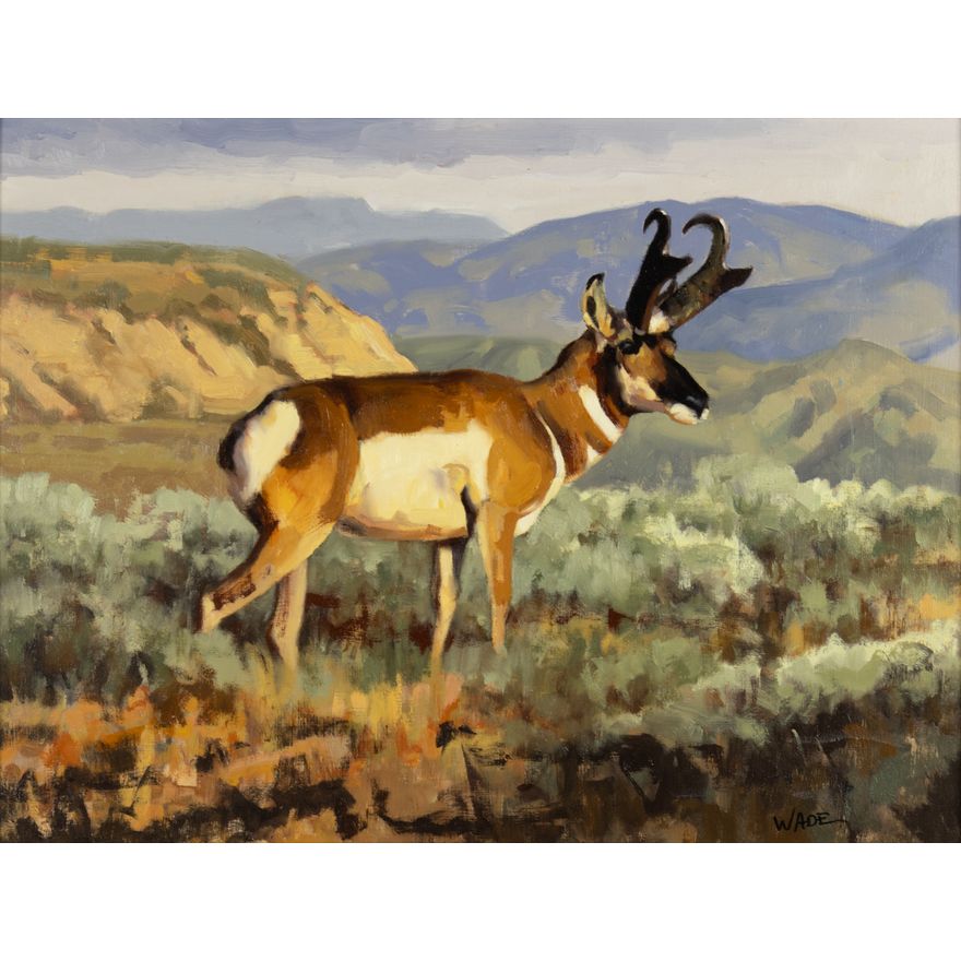 David Charles Wade (1952-2019): Sagebrush Dandy