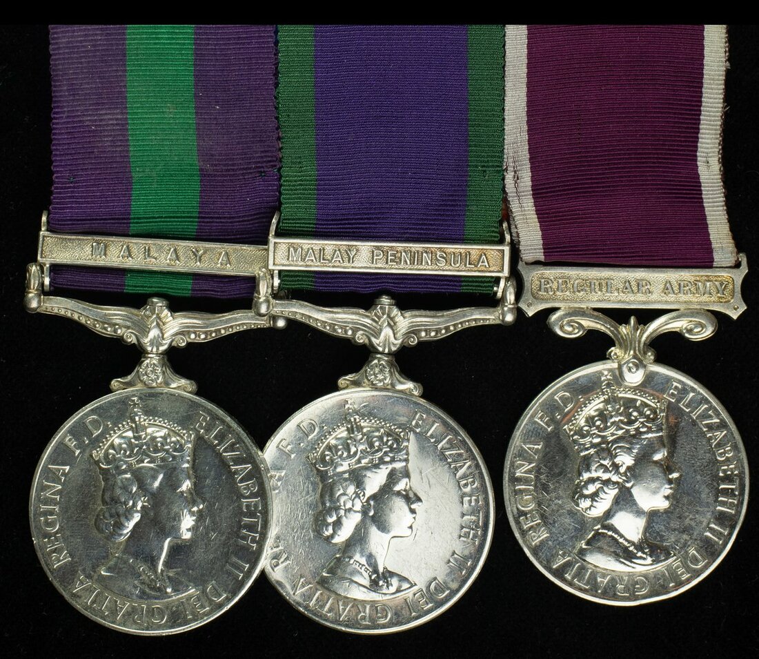 Three: Rifleman T. Rana, 2nd King Edward VII's Own Gurkha Rifles (The ...