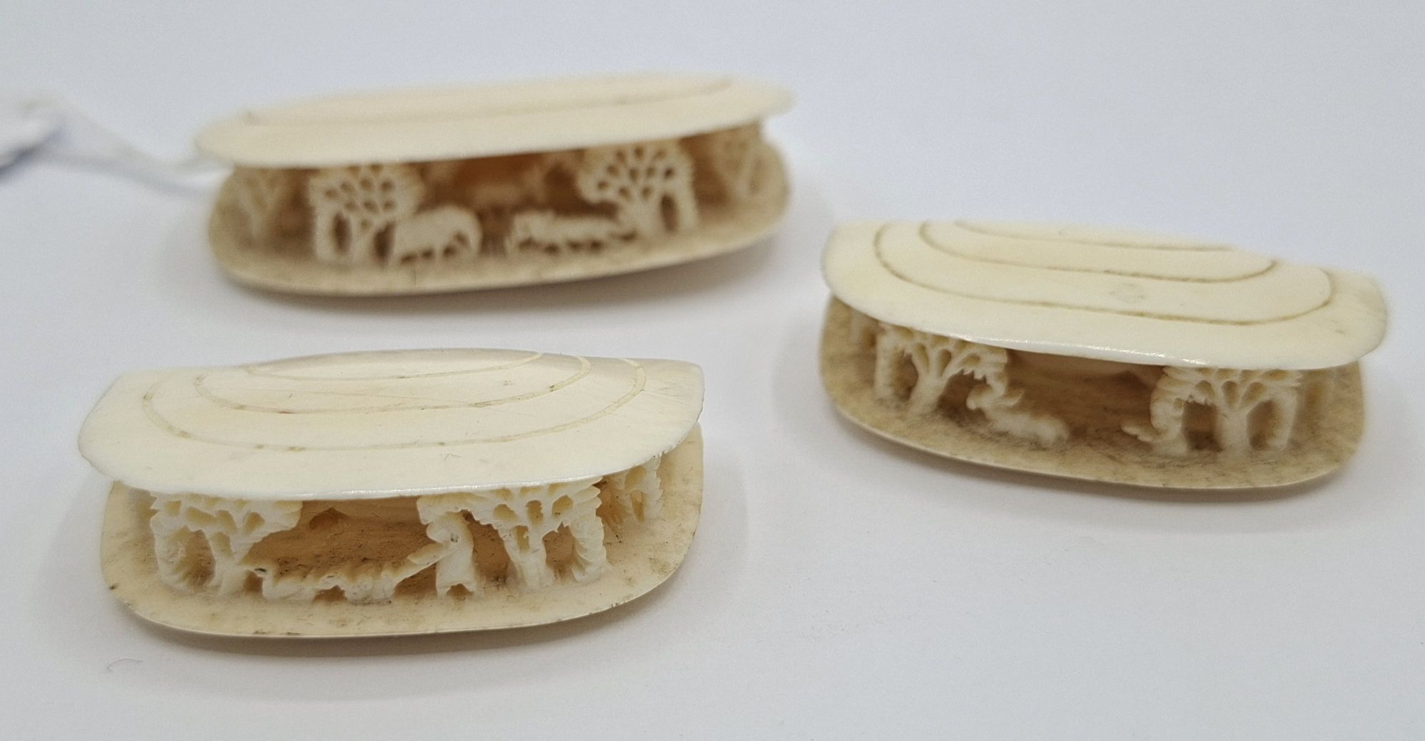 81 · ANTIQUE COCKLESHELLS