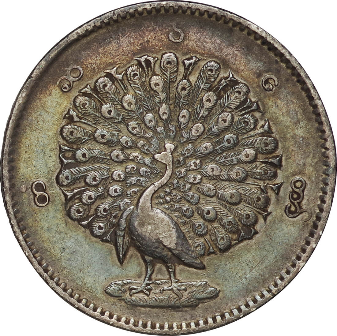 ビルマ銀貨1852年(1)Mu-