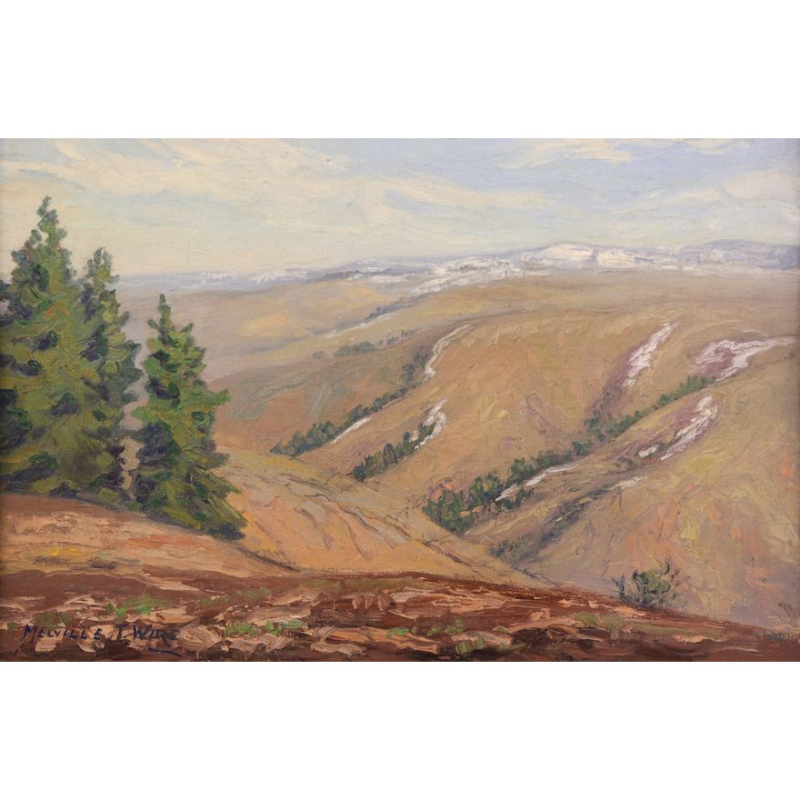 Melville Wire ''Shadow in Canyon Sunset'' Oil
