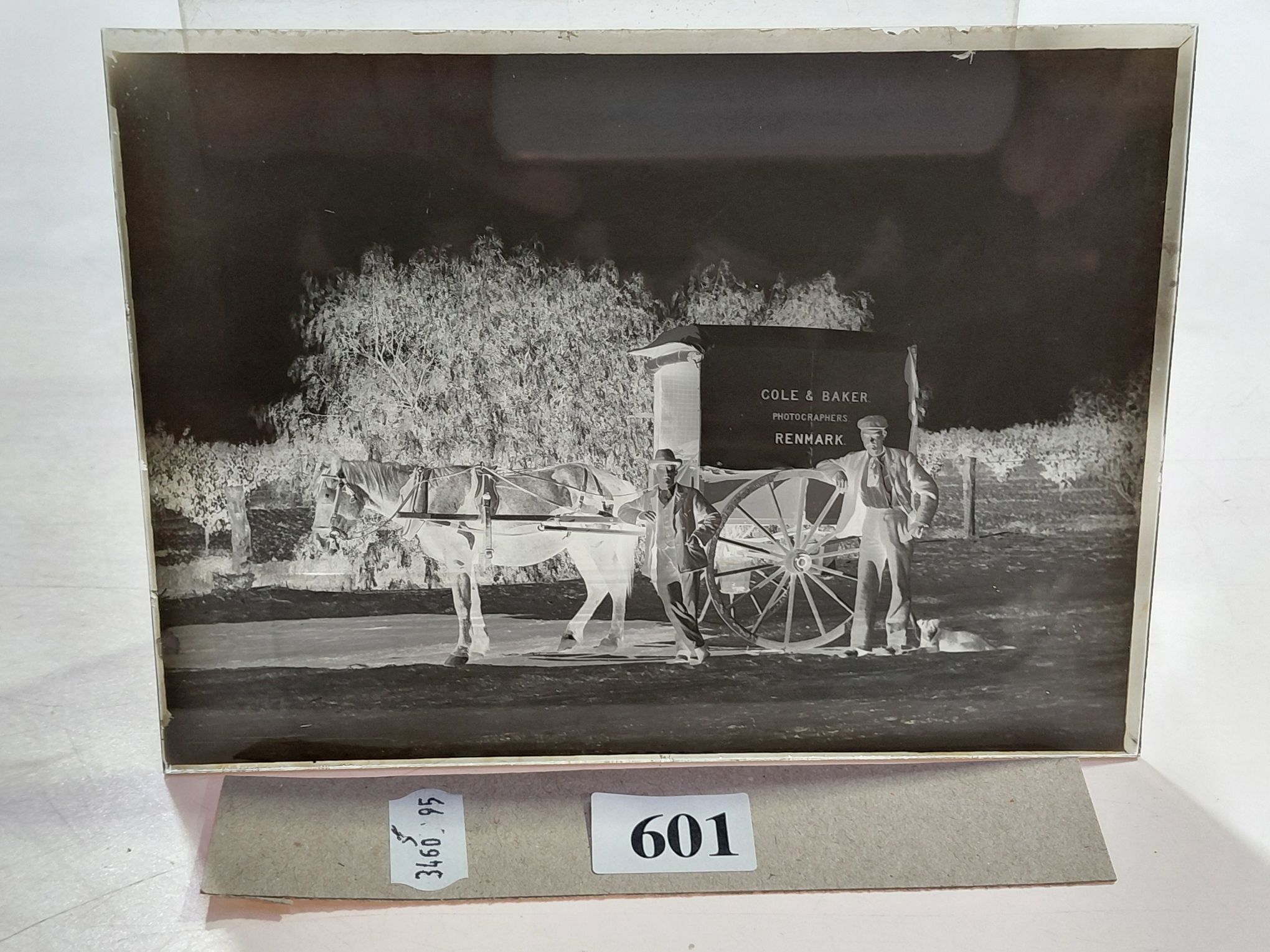 601 · GLASS NEGATIVES