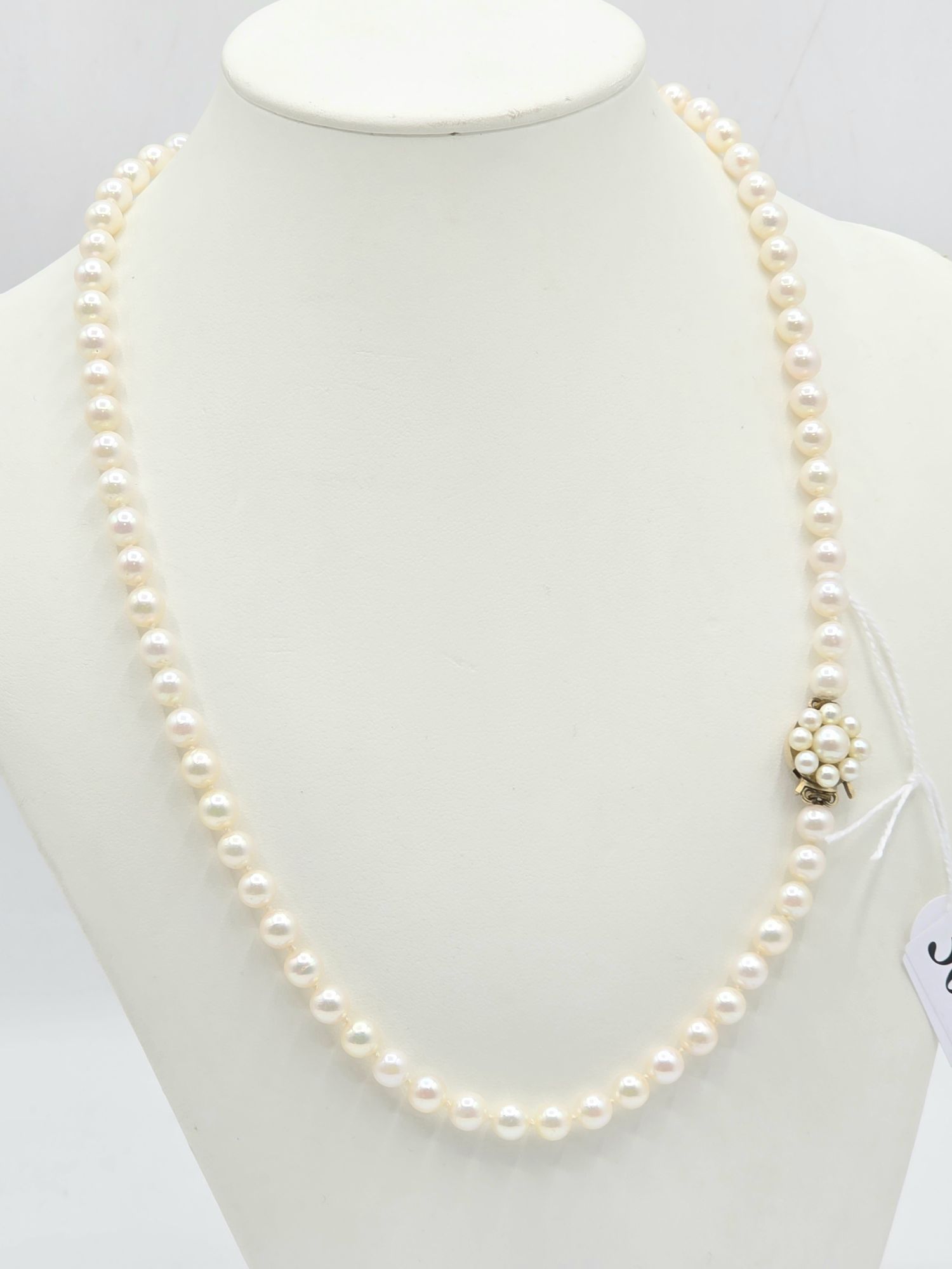 Akoya Pearl Necklace