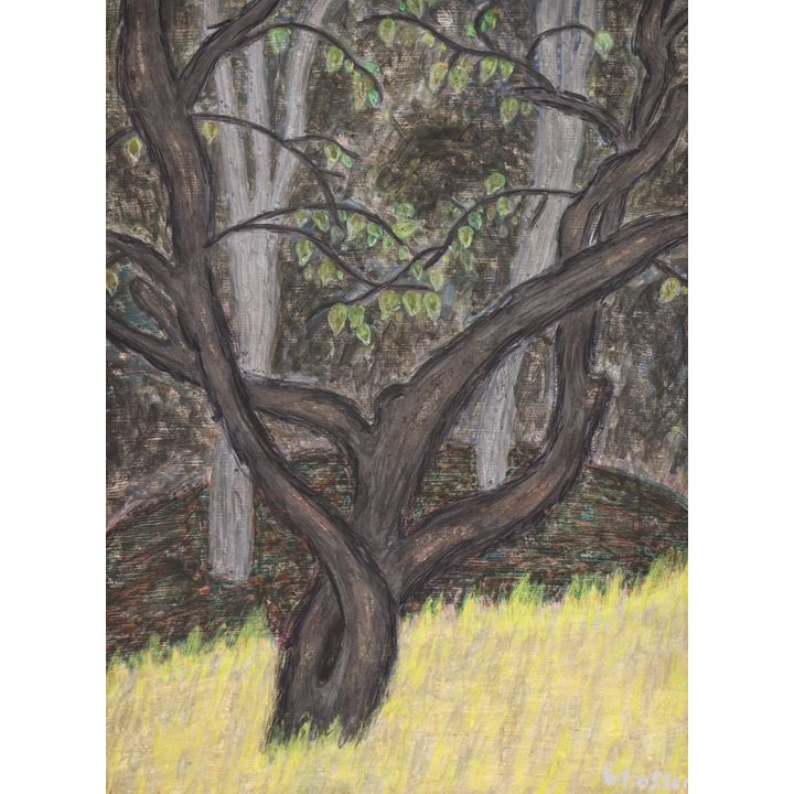 Nick Blosser ''Dark Tree in Light Grass'' 1999 Egg Tempera