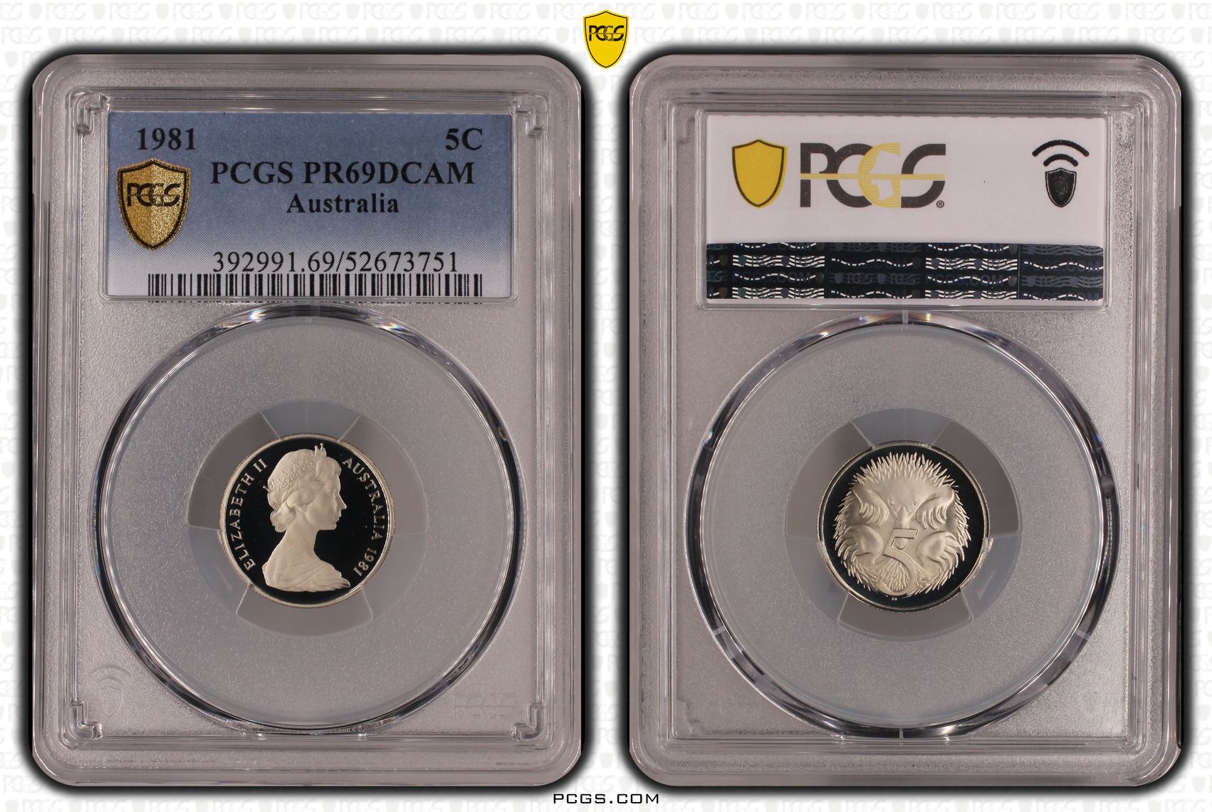 Five Cent, 1981, PCGS PR69DCAM
