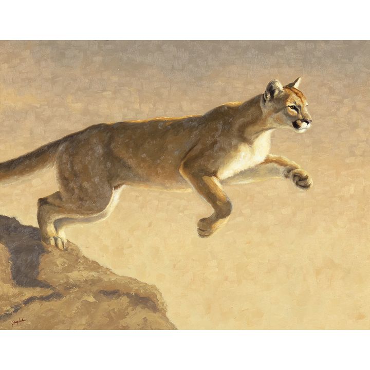 Greg Wilson (1962- ), Pouncing Puma
