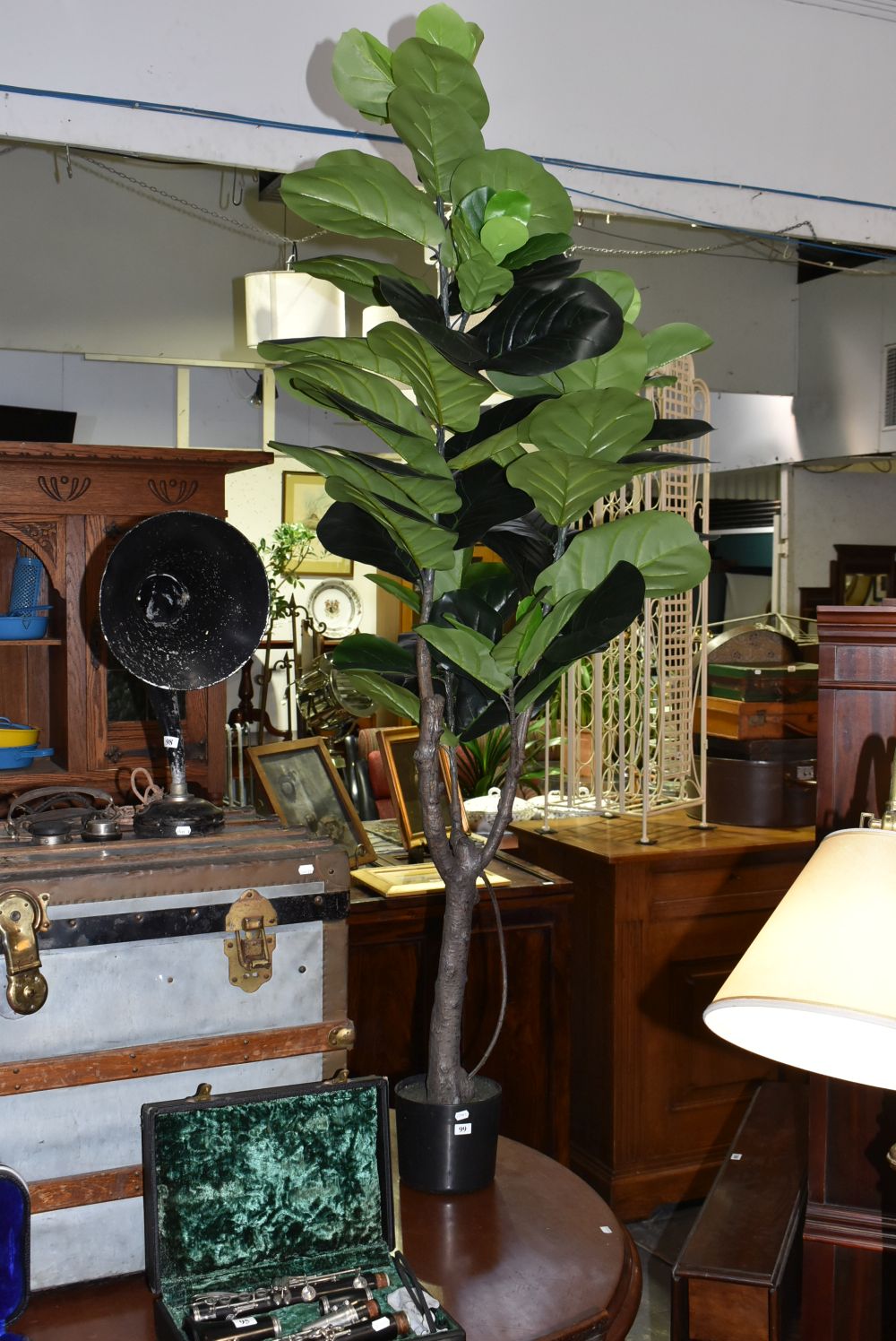 FAUX INDOOR PLANT Small and Whitfield