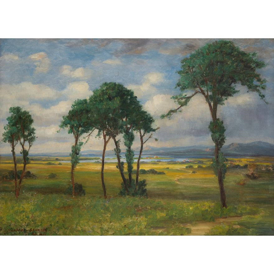 Huehner-Baumann | Pejzaż