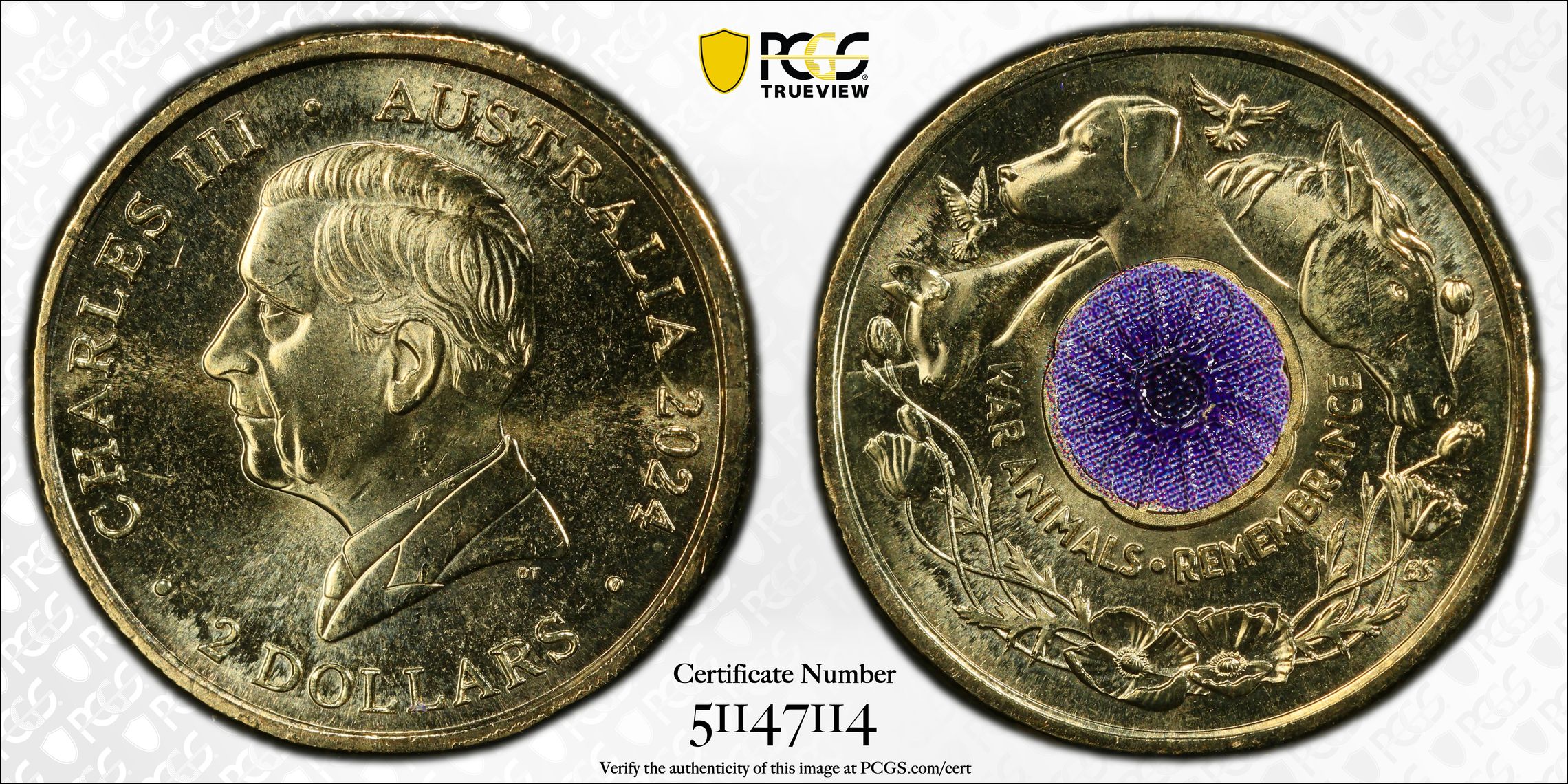 War Animal Remembrance Colorized, Two Dollar, 2024, PCGS MS66