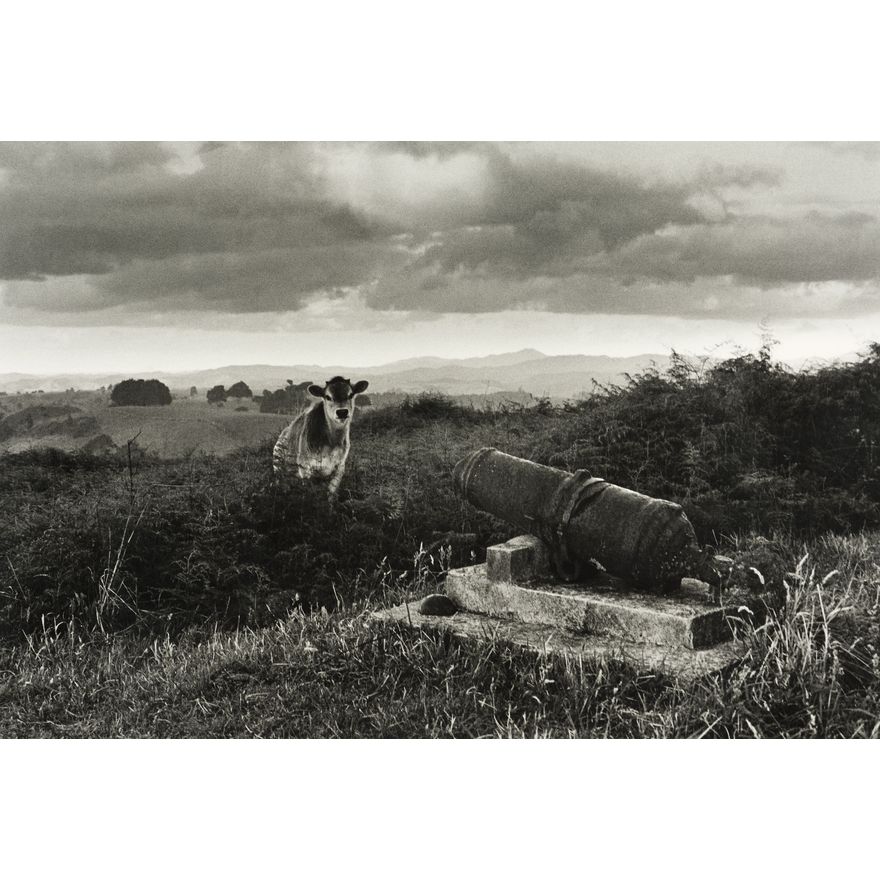 Marti Friedlander 'Ruapekapeka'
