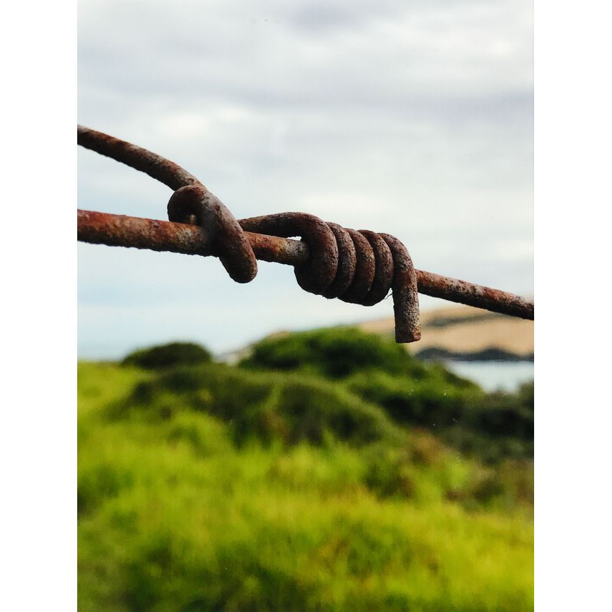 Peter Peryer 'South Head, Hokianga'