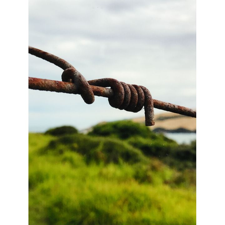 Peter Peryer 'South Head, Hokianga'
