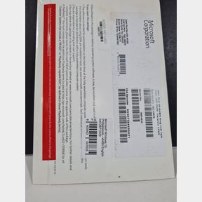 WINDOW 10 PROFESSIONAL INTL DSP DVD -NEW - 51615/1030