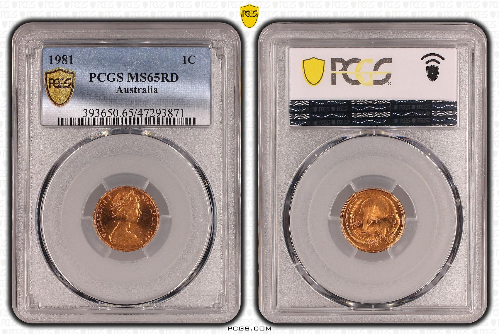 Elizabeth II, One Cent, 1981, PCGS MS65RD