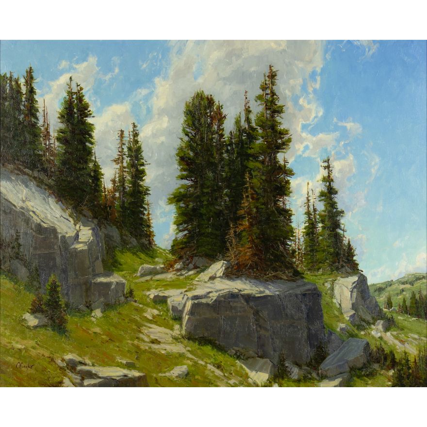 Carole Jo Cooke (1949- ): Skyline