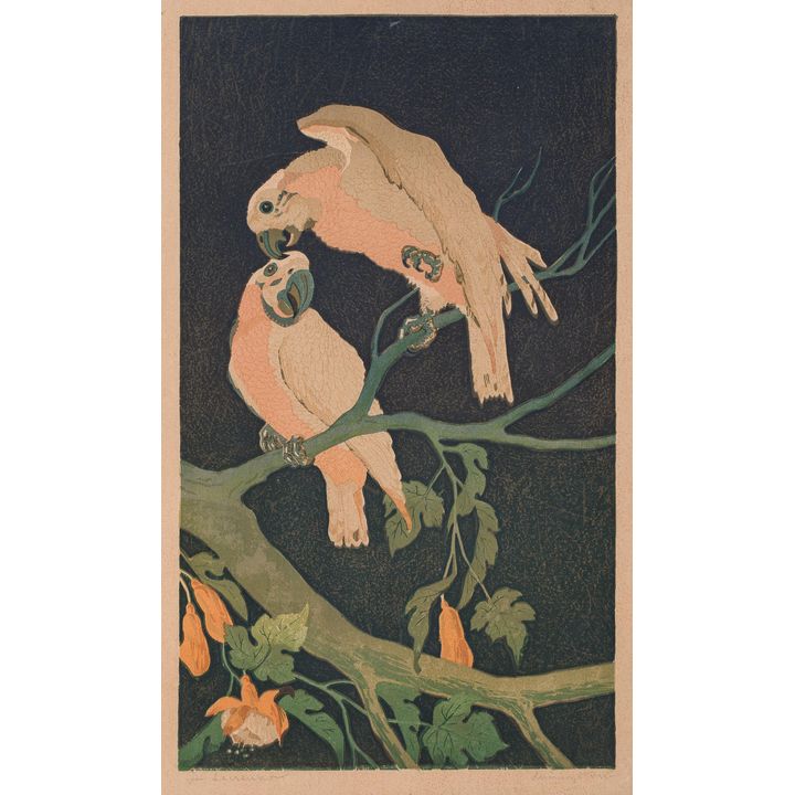 Aleksander Laszenko | Papugi, 1935