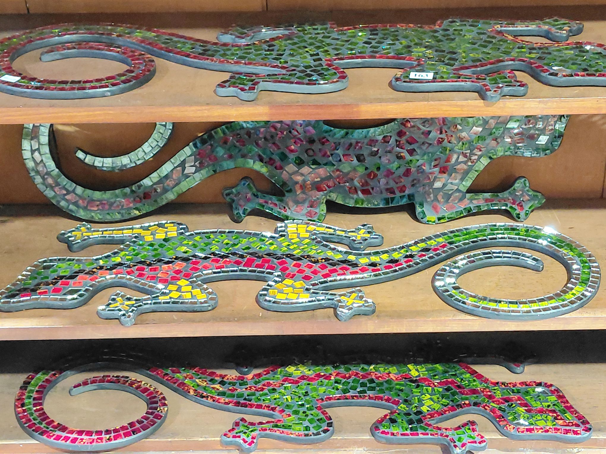 163 · GARDEN GECKOS