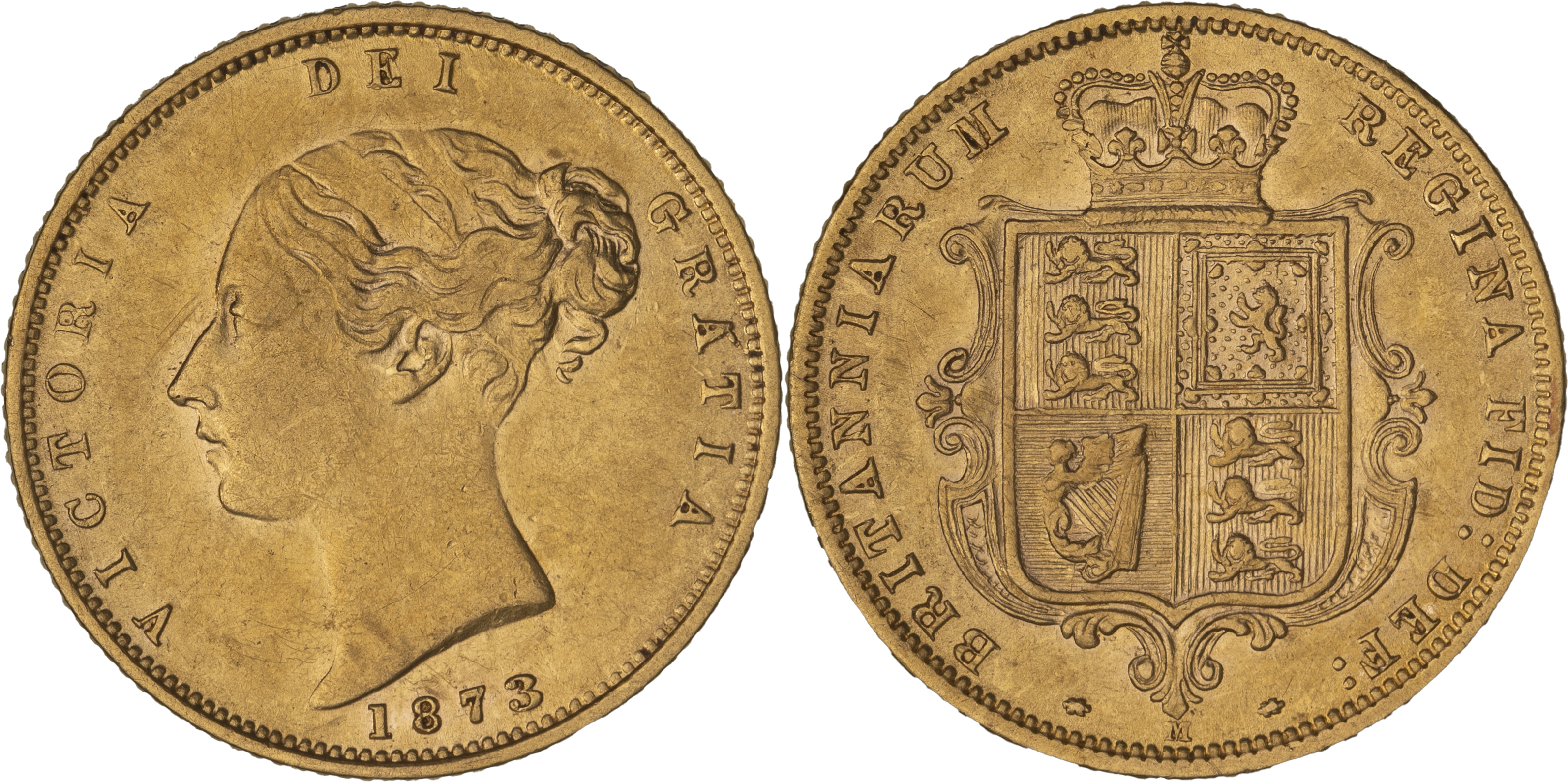 Victoria, Shield Reverse - Young Head, Half Sovereign, 1873-M, gVF