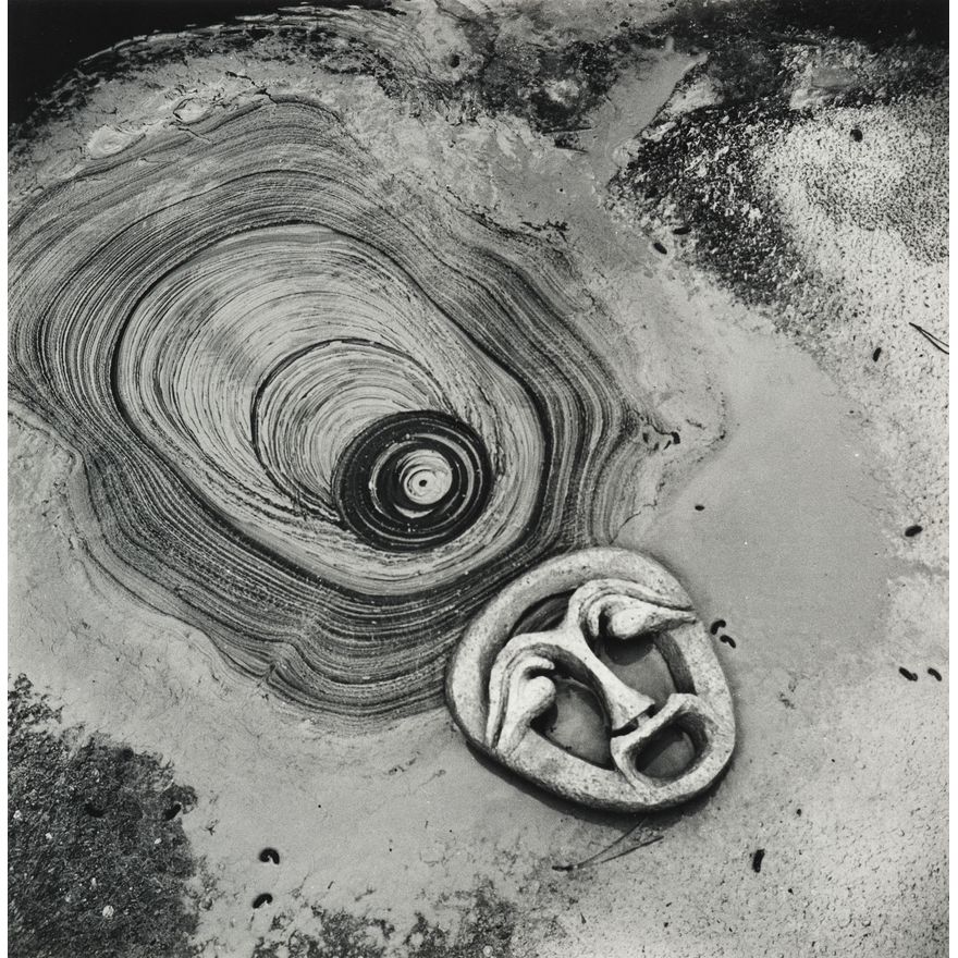 Theo Schoon 'Waiotapu Mudpool Study'