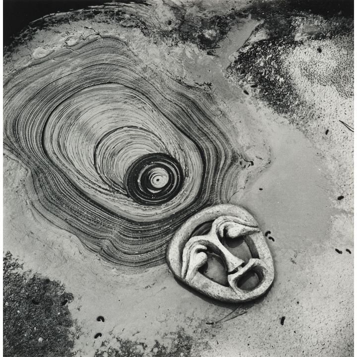 Theo Schoon 'Waiotapu Mudpool Study'