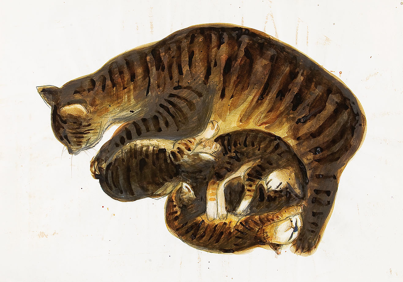 Image cover