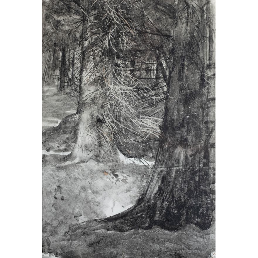 Leon Wyczółkowski | Stary świerk