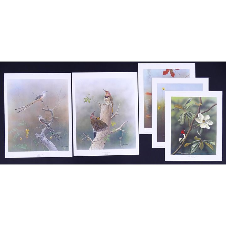 5pc John O'Neill Bird Signed Lithographs. 1pc Numbered 222/750. 2pc measure 28x22'' and 3pc measure 24x20''.