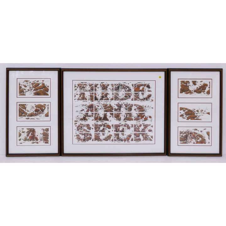 3pc Bev Doolittle 'Hide and Seek' S/N Embossed Lithograph Triptychs. Gallery Framed- Large 30x36'' and smalls 30x18'' each
