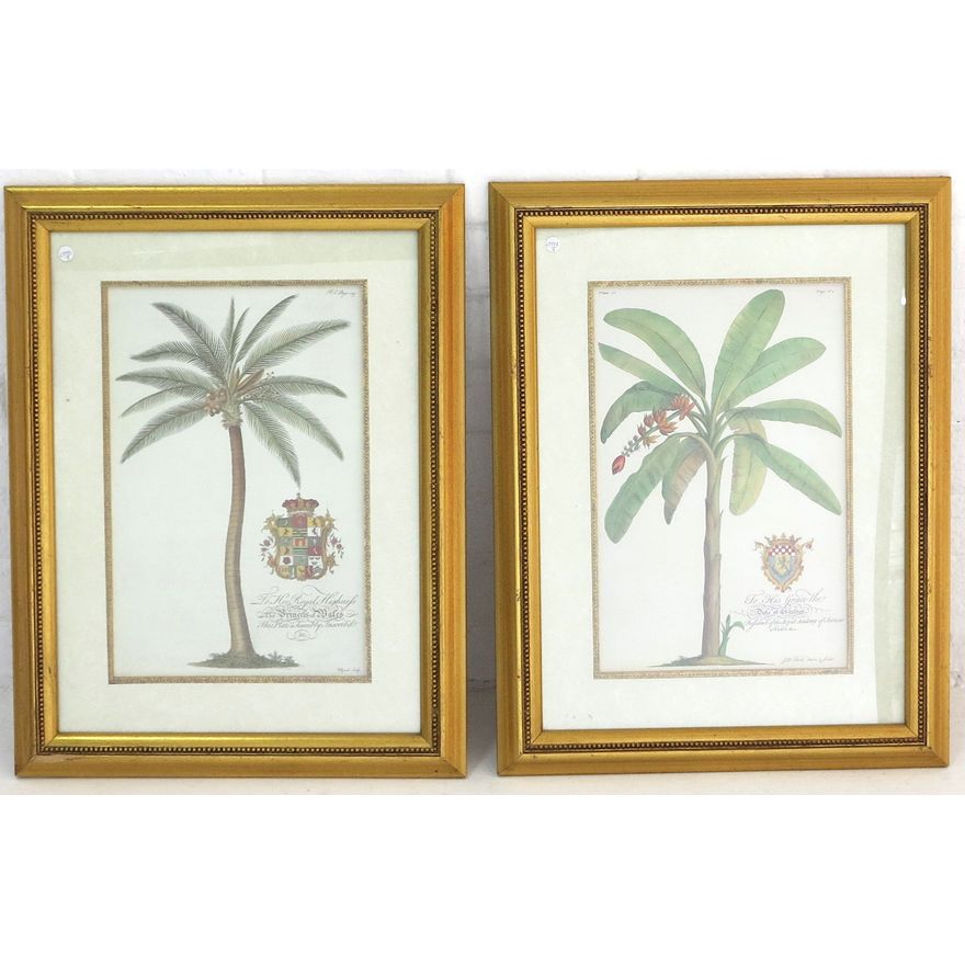 PAIR OF BOTANICAL PRINTS