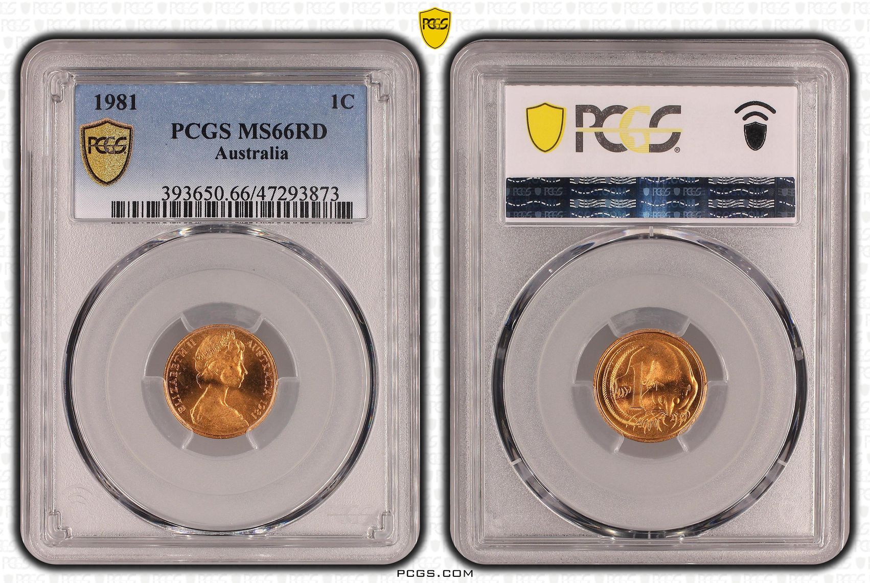 One Cent, 1981, PCGS MS 66RD