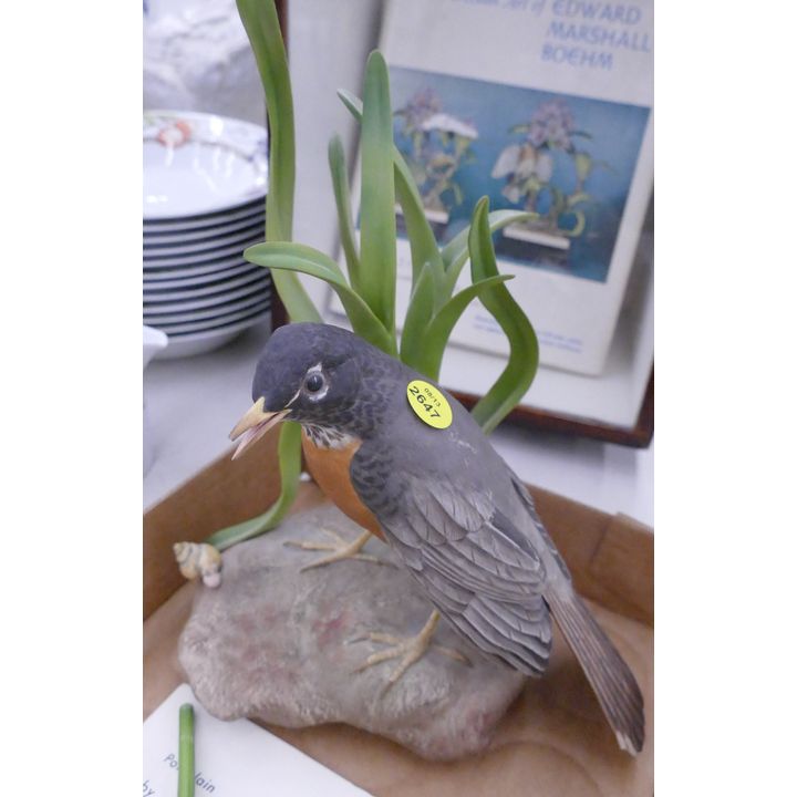 Boehm Porcelain Bird Figurine with Display Case & book- 11'' (as is)