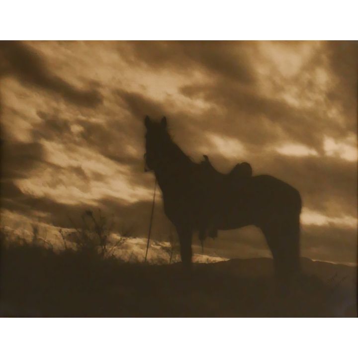 Signed Anderson Horse Sepia Photograph dated 1924. Matted- 15x17''