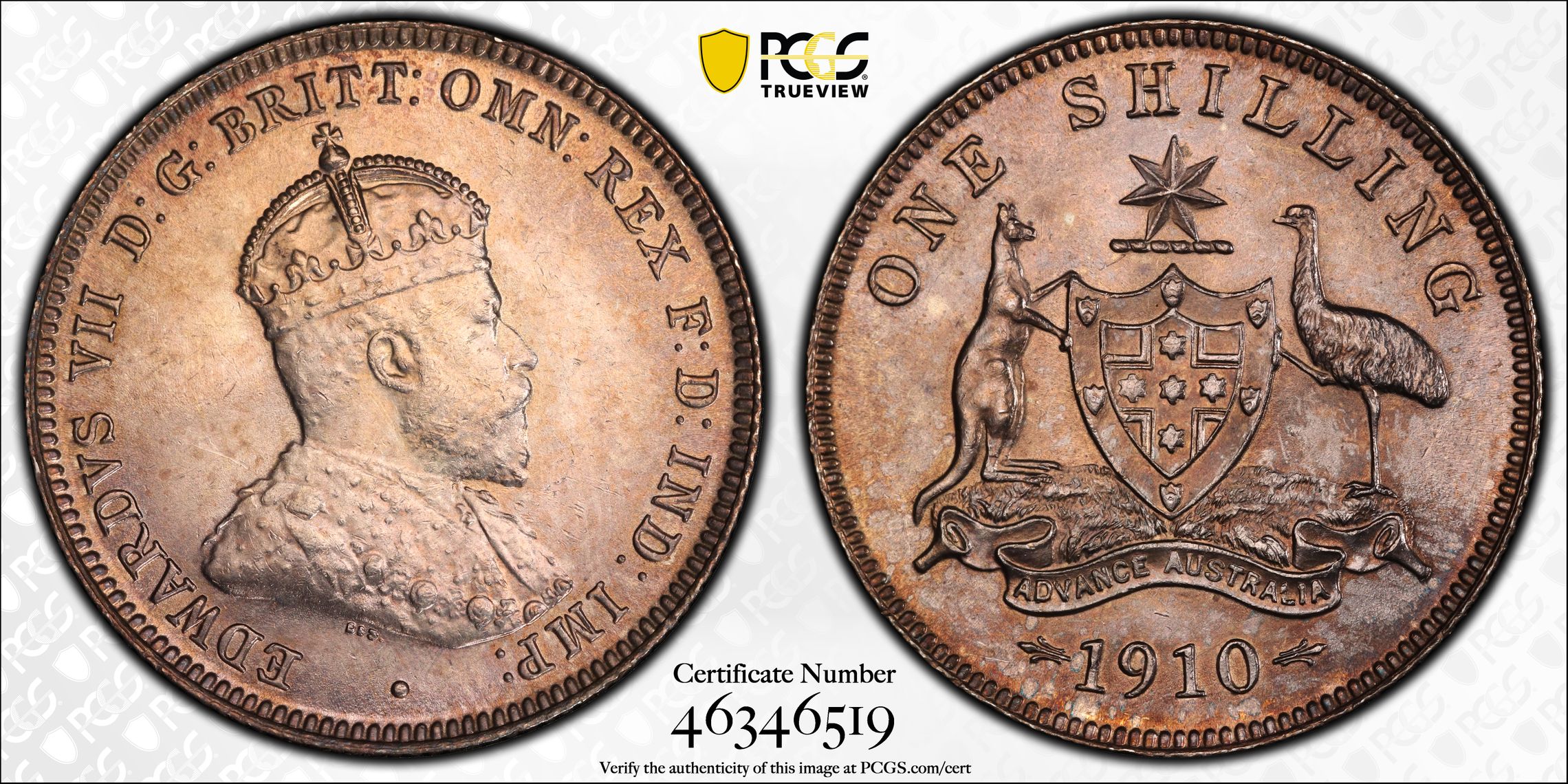 Edward VII, Shilling, 1910, PCGS MS63