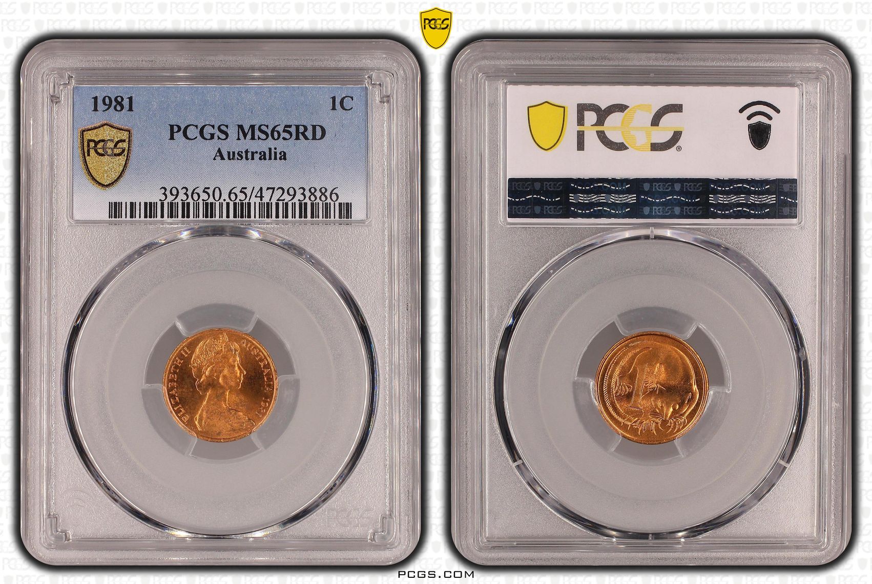 78 · Elizabeth II,  , One Cent, 1981, PCGS MS65RD