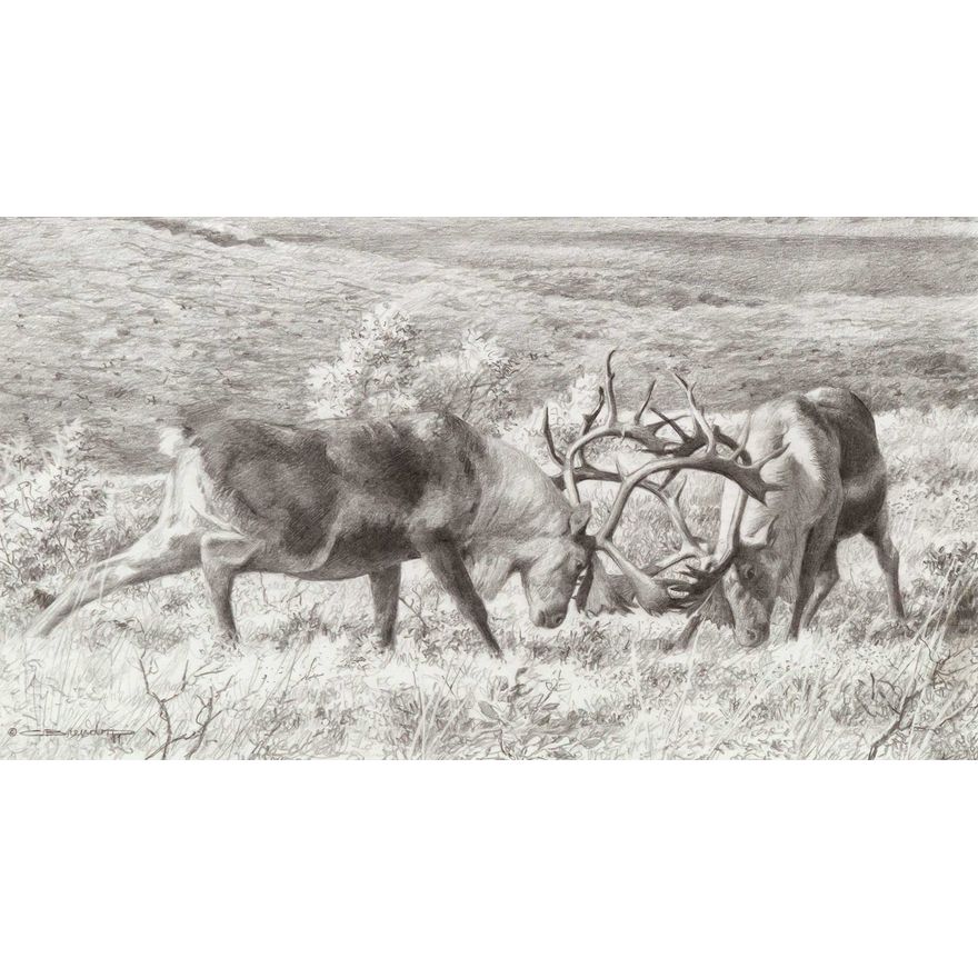 Carl Brenders (1937- ), Tundra Challenge