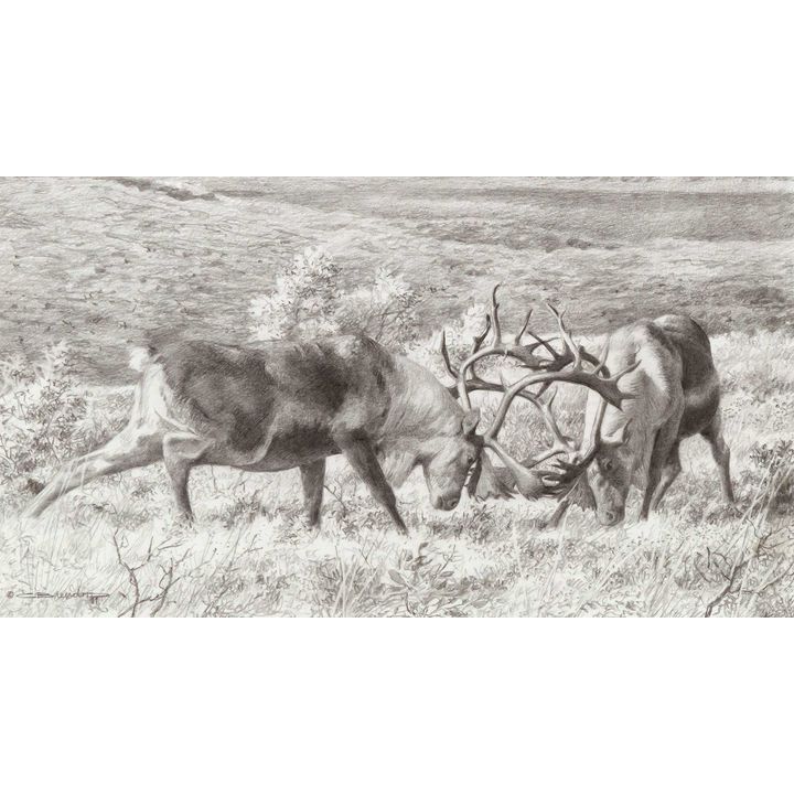 Carl Brenders (1937- ), Tundra Challenge
