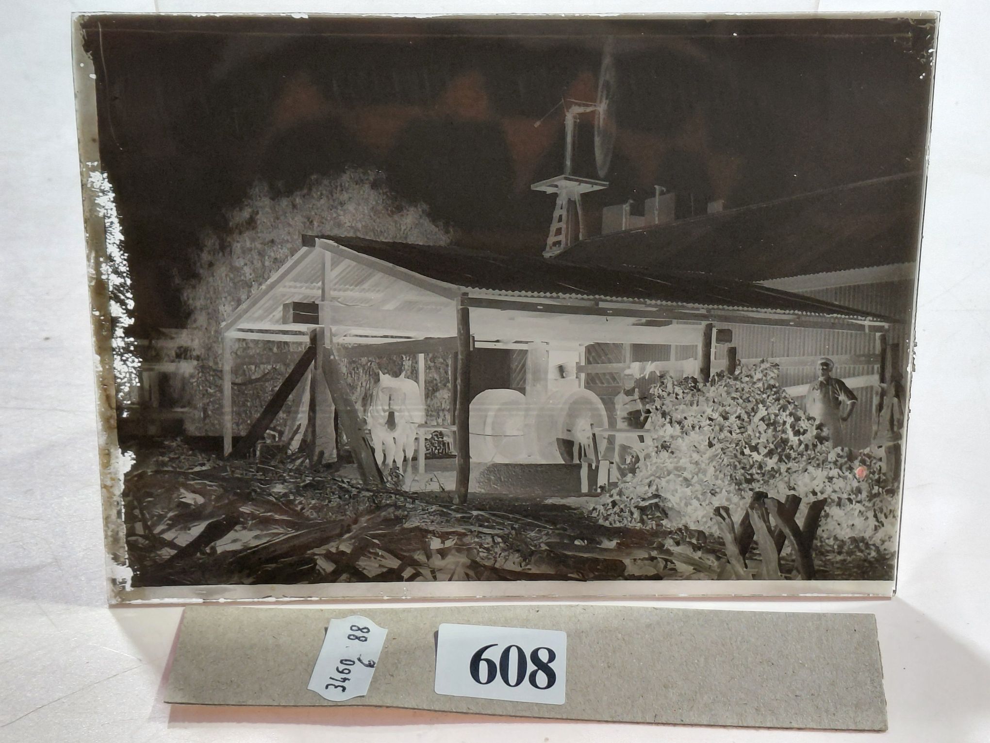 608 · GLASS NEGATIVES